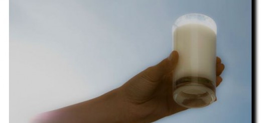 продукты молочнокислого брожения