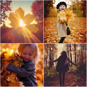 Несколько причин полюбить осень