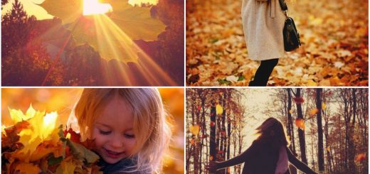 Несколько причин полюбить осень