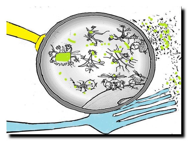 Бактерии на мухе. Бактерии на предметах. Контактно бытовой путь передачи. Бактерии на кухне. Микроорганизмы рисунок.