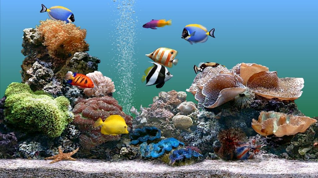 Волшебный мир аквариума