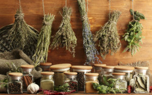 Пряновкусовые растения и травяной чай для сауны и бани