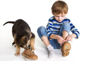 5 признаков качественной детской обуви